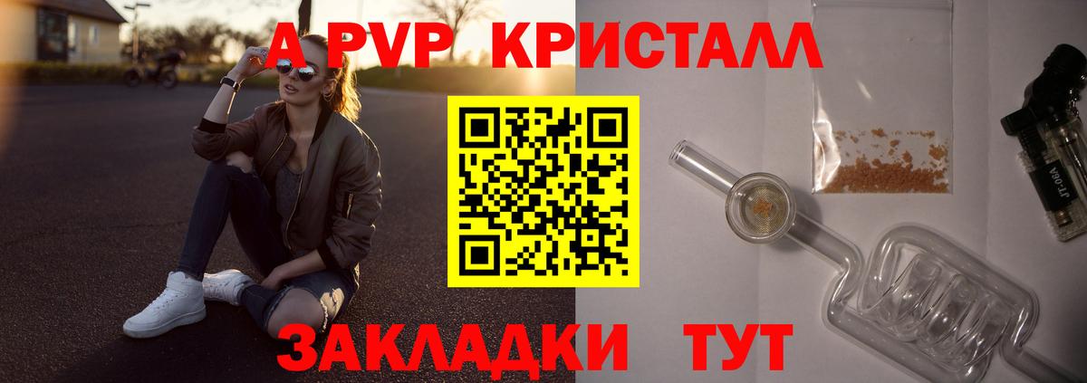 A PVP СК КРИС Кингисепп