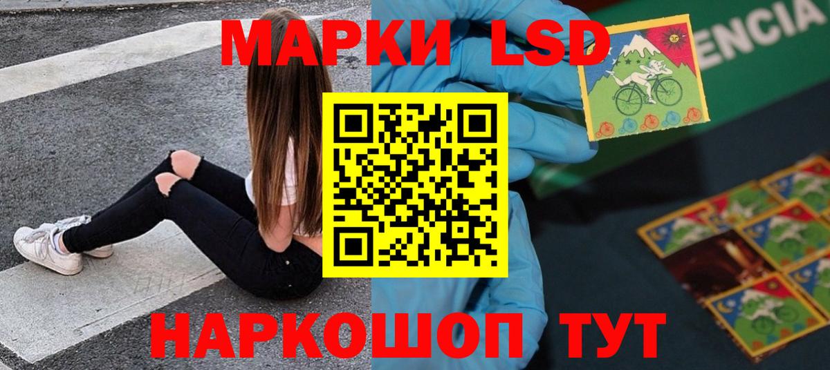 кракен маркетплейс  Вход с VPN  Кингисепп  ЛСД экстази кислота 