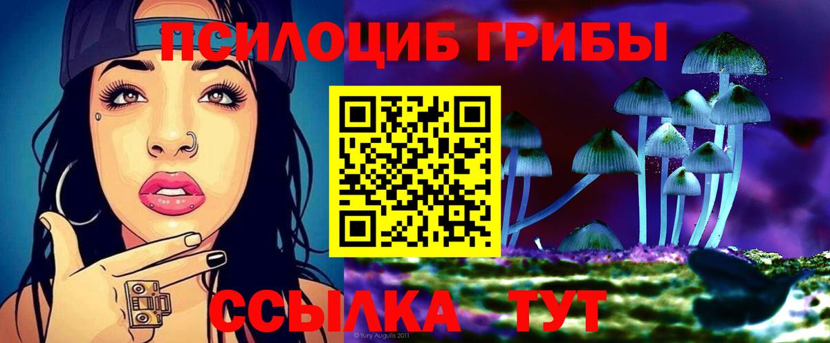 Кингисепп  Галлюциногенные грибы мухоморы  Вход с VPN  Псилоцибиновые грибы мухоморы 