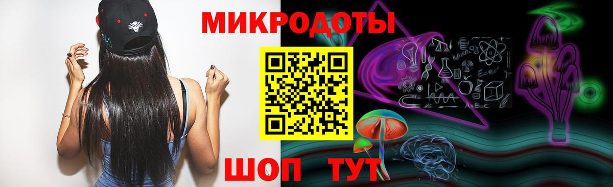 Галлюциногенные грибы Psilocybine cubensis Кингисепп